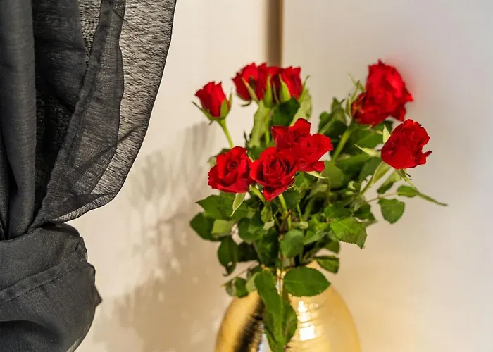 Appartement Magnolia Apartments, Dubrovnik